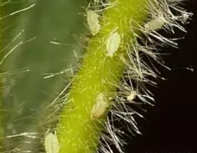t0151ca9b11c6944a90.jpg