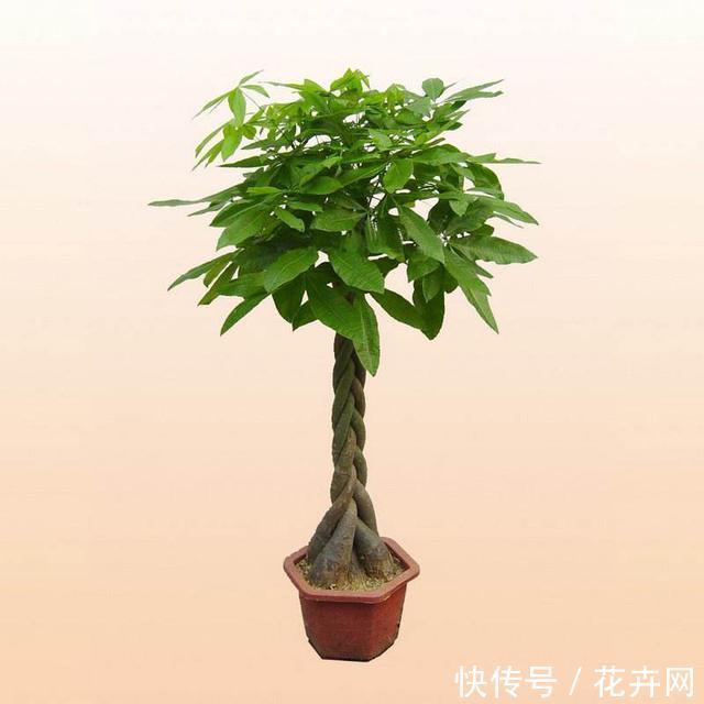 t0152df44986a52a04e.jpg