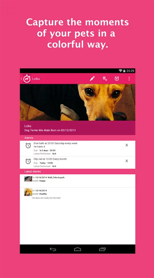 Pet Diary截图1