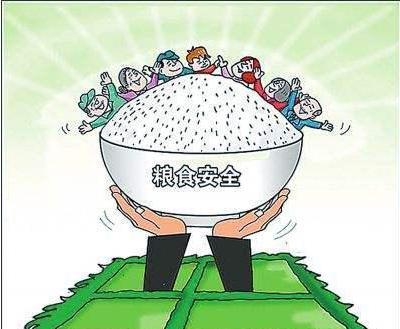 十八亿亩耕地依然守不住国内的粮食安全战略?