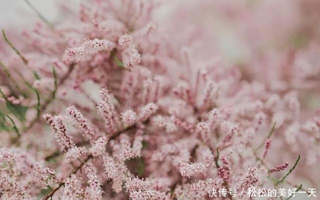 t0155caebb1b68072aa.jpg?size=640x401