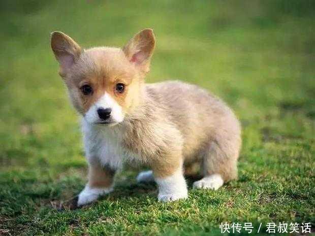 开心一刻笑话:女朋友第一次带我去她家吃饭,我