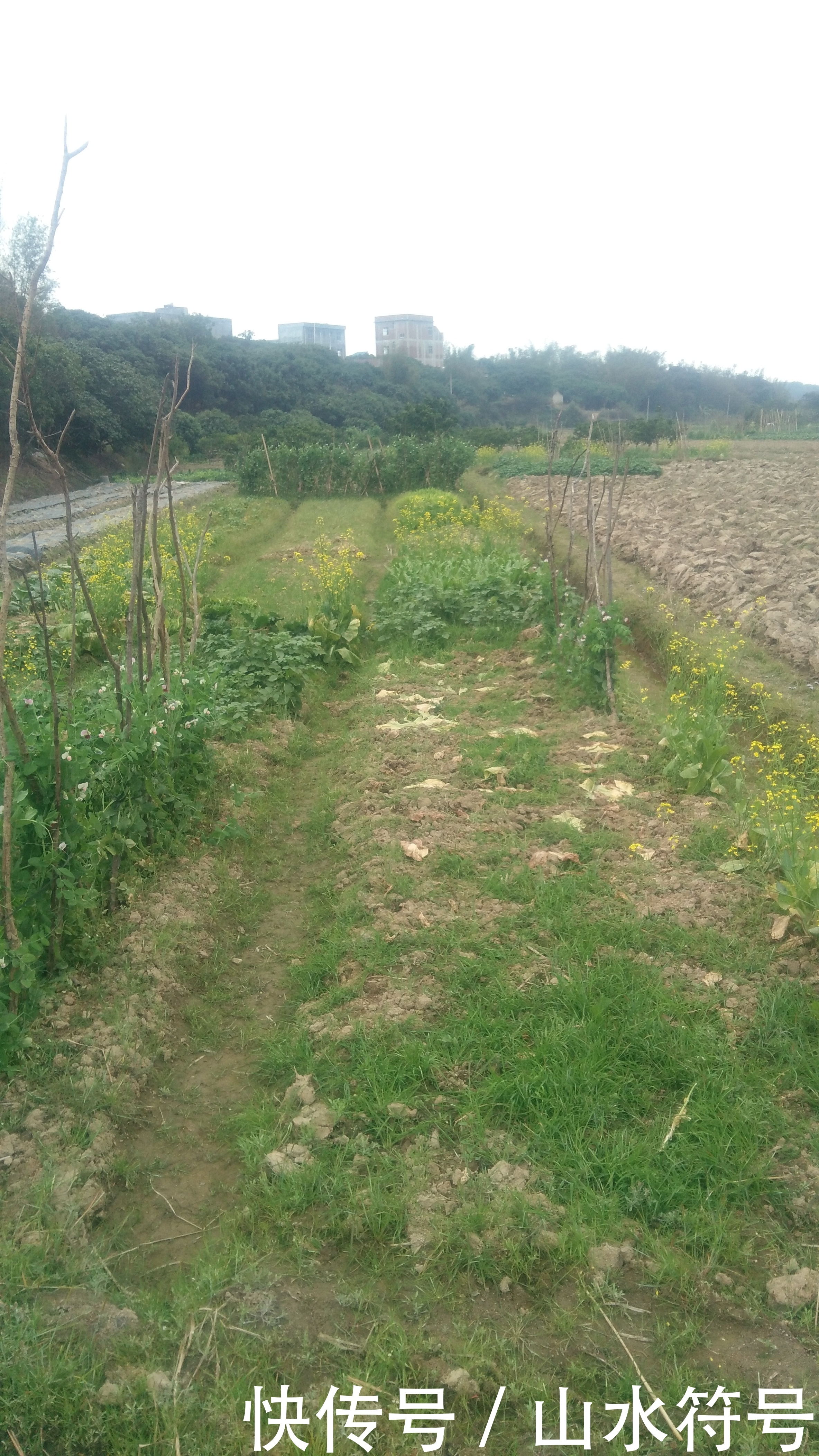 春节后的农田景象广西浦北县白石水