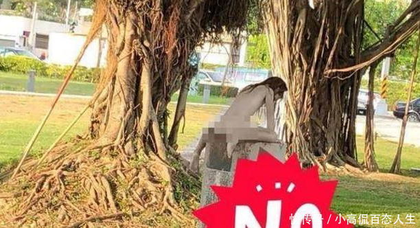 岁女儿在公园赤裸玩耍无动于衷,网友怒骂:不知