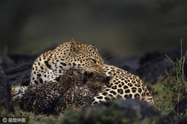 这3种方法专门改善打呼噜,不伤身体效果还好