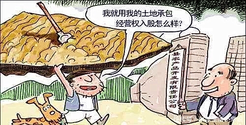 土地承包合同怎么写