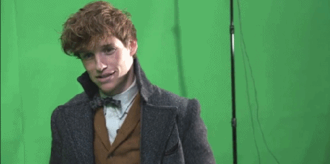 vr gif:亲妈被佛系青蛙逼哭 让vr世界的魔法系动物拯救你!