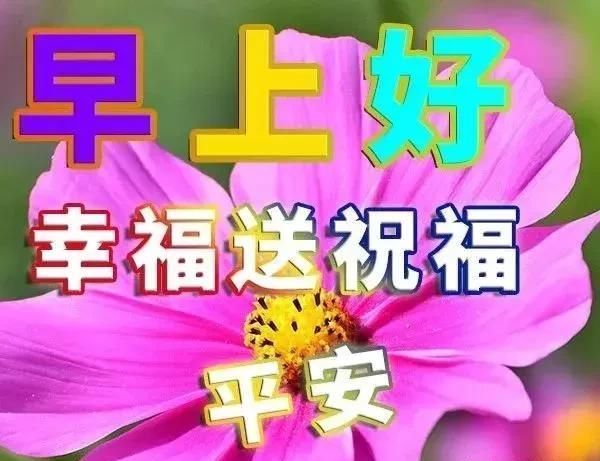 微信早上好祝福语a短信短信,可爱早安表情v短信爸!!!最美动画包图片