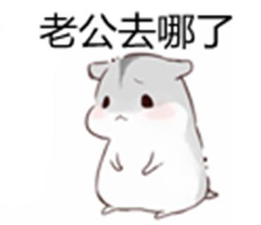 撩老公的表情包一套分享展示
