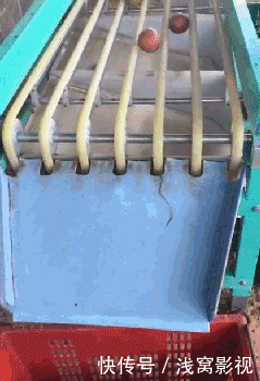 搞笑GIF:这位大全别考动画了,添加画兄弟也怎么转行微信表情表情美院图片