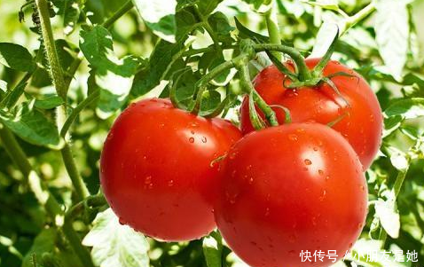 平时生活中,能够帮助淡斑的4个土办法,记好了