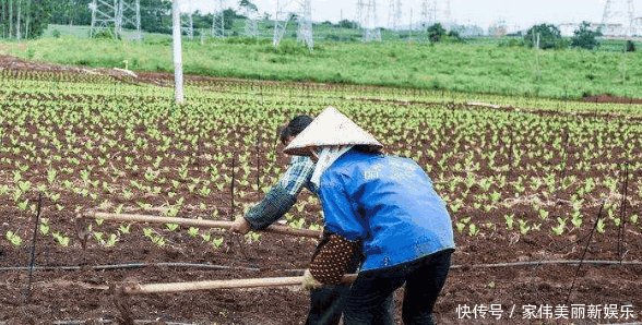 永久退地每亩补5万, 农民嫌少! 专家 涨到10万呢
