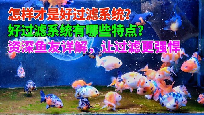 黃金二線黑云魚(yú)論壇：廣西的南寧、柳州和北海，哪里更宜居