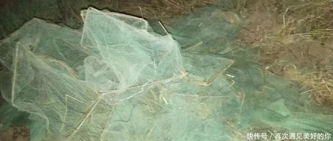 t015be896e81008dada.jpg?size=1080x459