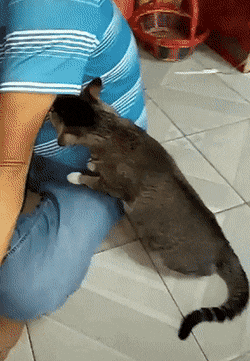 男的干了很多女的