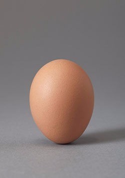对鸡蛋过敏哪些东西不能吃