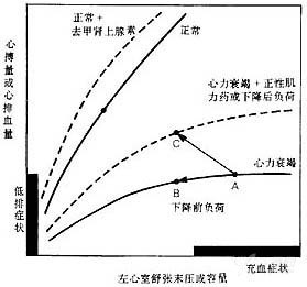 别光记心衰口诀:强心药活学活用 3 大注意