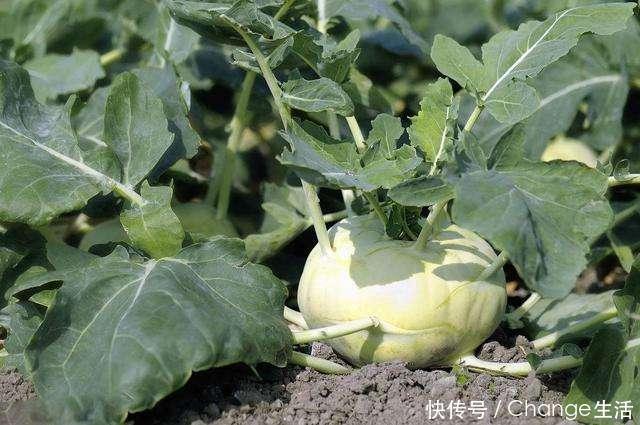 4种癌症都是吃出来的,医生:我从不吃这些\"毒物\"