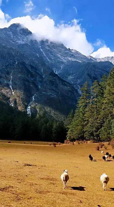 嗨,那个赶路人,这里是丽江