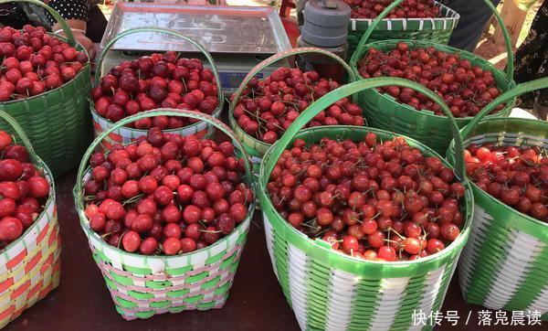 2018中国?郑州第十二届郑州樱桃节在樱桃沟盛大开幕
