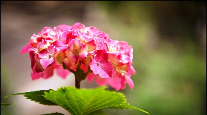 感悟人生的经典句子,精湛有深意,句句激励人生