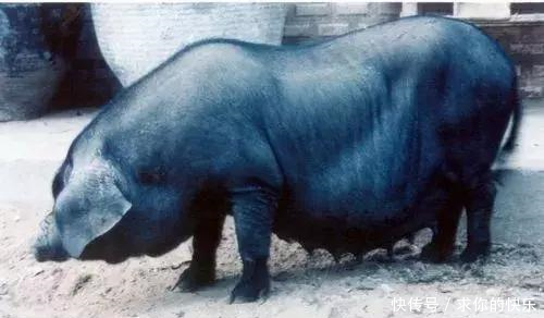 厉害了,河南这5个县市区被教育部点名,未来发展要逆天!