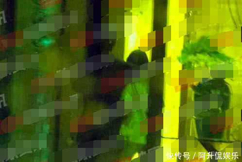 郑爽新恋情疑曝光:与神秘男又搂又抱恩爱爆表