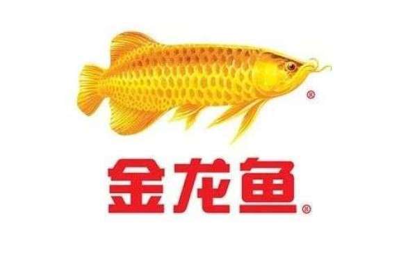 需要控控食不？（養(yǎng)魚也是一種修行）