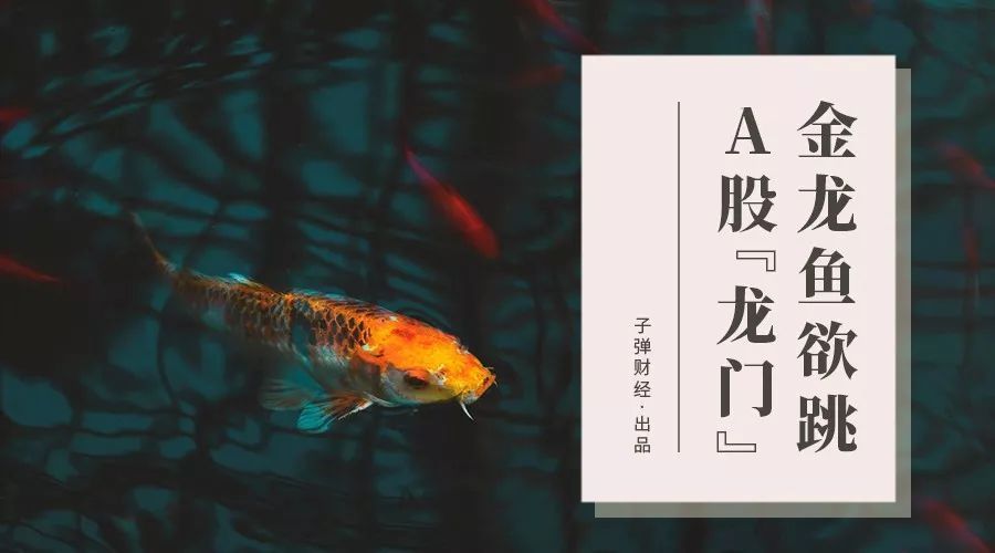 鼓樓區(qū)知魚之樂水族館（鼓樓區(qū)知魚之樂水族館電話）