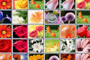 花花连连看原版,花花连连看原