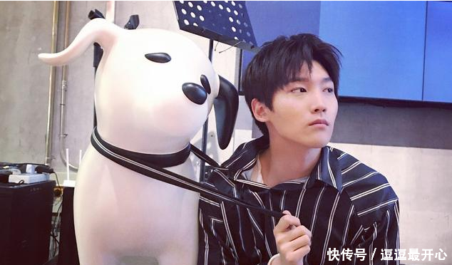 杨洋的学历,胡一天的学历,白敬亭的学历,这就是