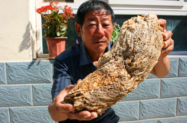 农民山上捡到一块“大肥肉”,拿去专家鉴定后,农民乐开了花