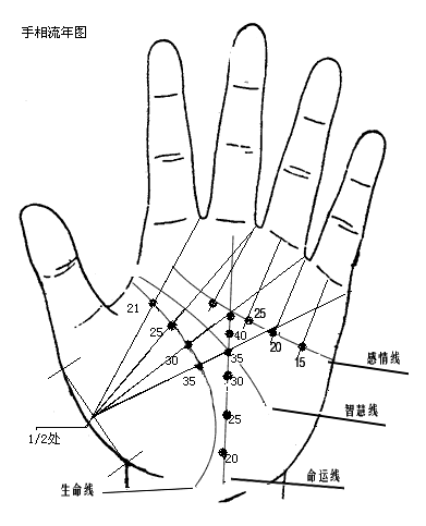 女人手相算命图解,最全的解析一学就会