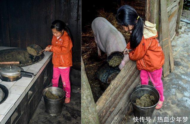 11岁女孩当家6年，担起家庭重担养活一家人，背后原因令人心酸