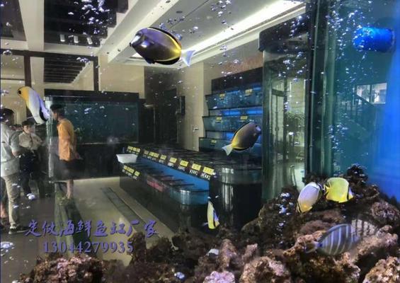 魯山縣觀景水族館（魯山縣觀景水族館電話）