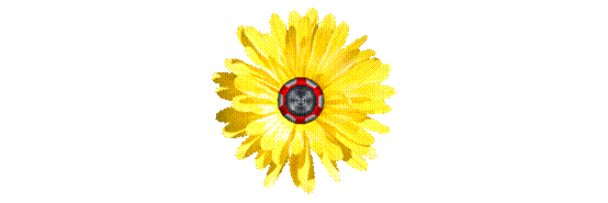 w578.png