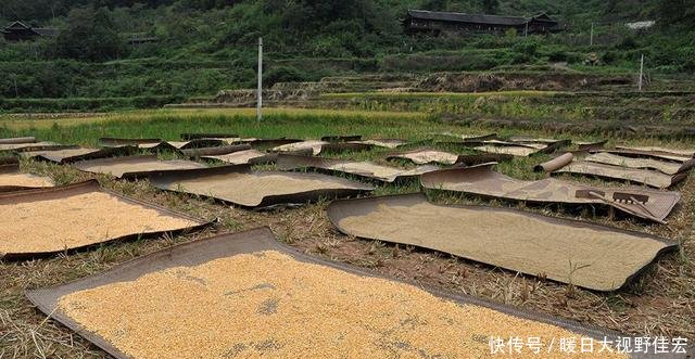 t0166e50ae9a4d178d6.jpg?size=640x331