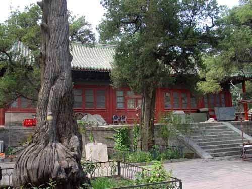 孔林