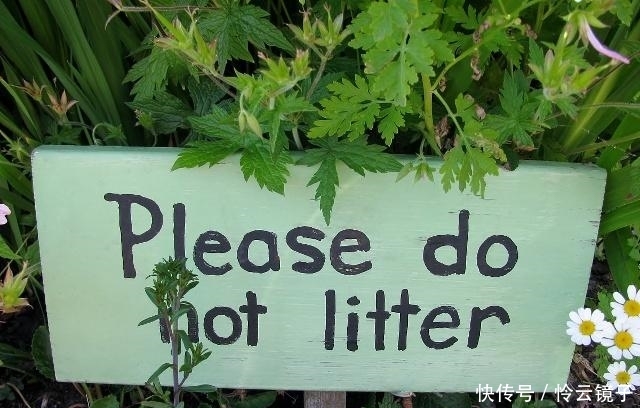 危房鉴定收费标准