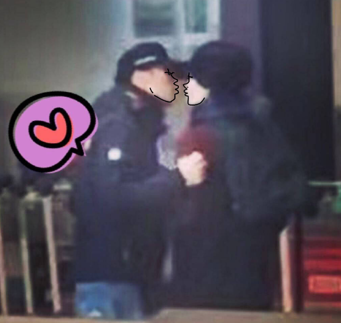 520只吃王菲谢霆锋的狗粮,这一细节见证真爱!