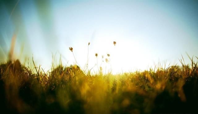 林家成小说推荐,《无盐妖娆》、《越姬》非常