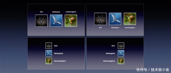 9999元!锤子坚果TNT工作站+坚果R1手机绝配