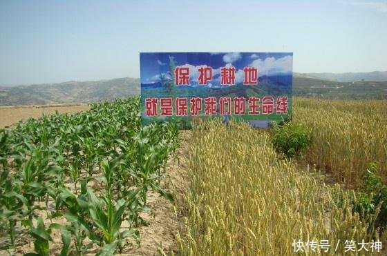 我国人均耕地_我国人均耕地面积图