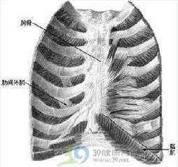 玩霞丝丝9级  分类:    生物学 被浏览38次 2014.04.