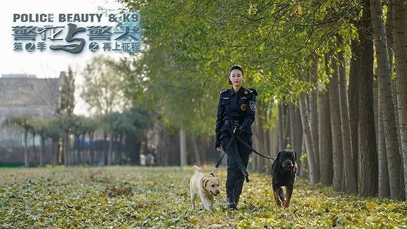 非凡的夜猫子:《警花与警犬之再上征程》编剧李刚