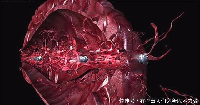 子弹致人死亡的原理是什么