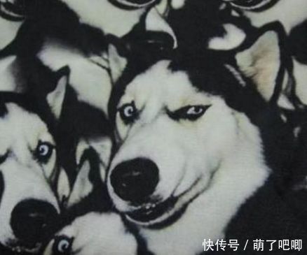 开心一刻:用陌生号加老公好友,结果被秒拒,心中