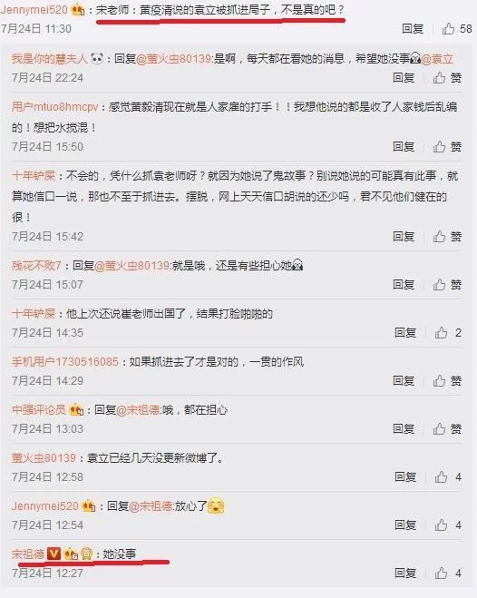 袁立被抓了?宋祖德3个字道出袁立现状