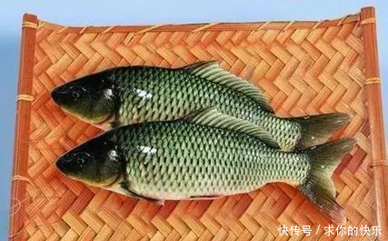 厉害了，河南这5个县市区被教育部点名，未来发展要逆天！