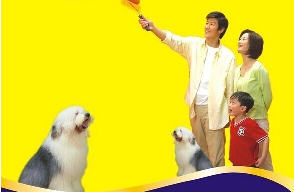 多乐士漆广告里那只狗是什么品种，有图么。。。_360问答